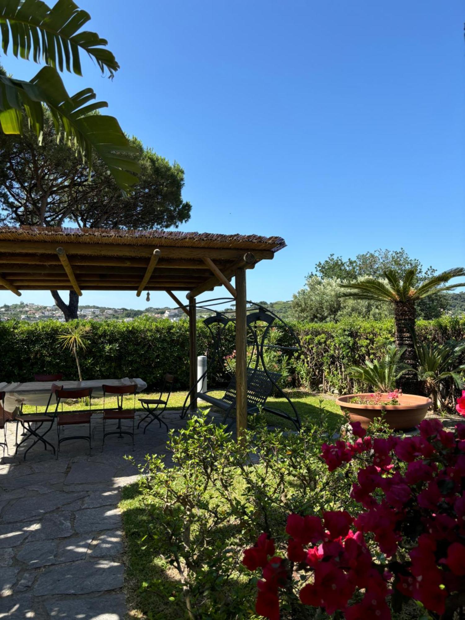 Villa Moma Giardino, Tennis E Piscina Panoramica Ischia Eksteriør billede