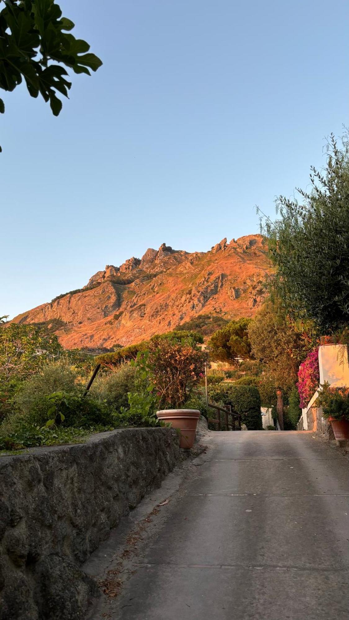 Villa Moma Giardino, Tennis E Piscina Panoramica Ischia Eksteriør billede