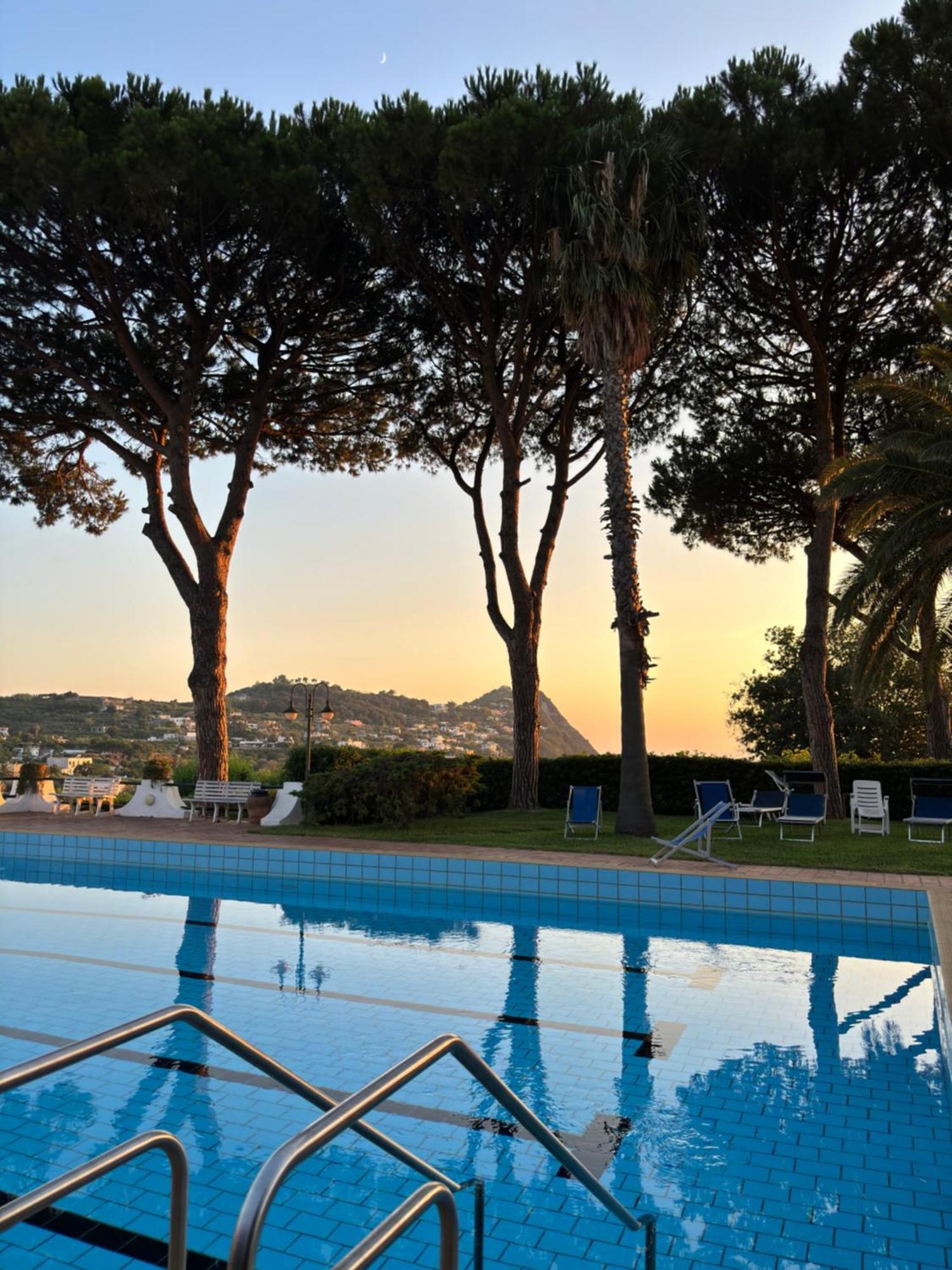 Villa Moma Giardino, Tennis E Piscina Panoramica Ischia Eksteriør billede