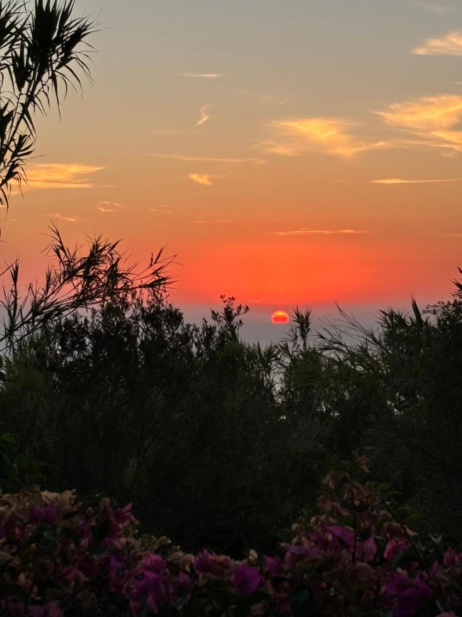 Villa Moma Giardino, Tennis E Piscina Panoramica Ischia Eksteriør billede
