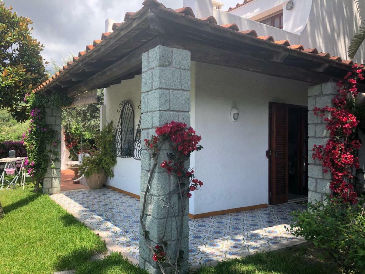 Villa Moma Giardino, Tennis E Piscina Panoramica Ischia Eksteriør billede