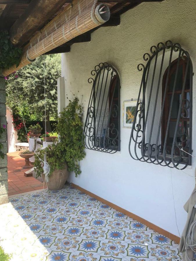 Villa Moma Giardino, Tennis E Piscina Panoramica Ischia Eksteriør billede