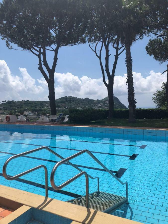 Villa Moma Giardino, Tennis E Piscina Panoramica Ischia Eksteriør billede