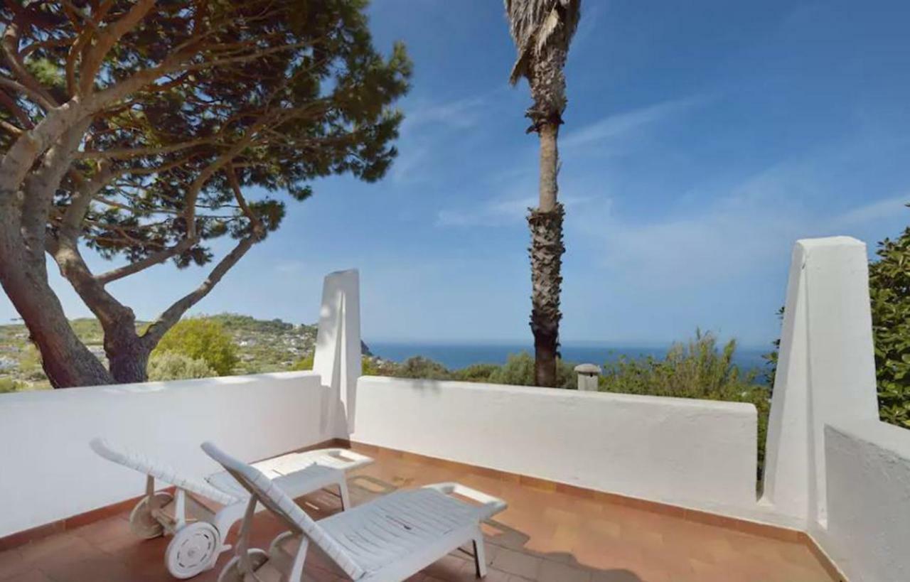 Villa Moma Giardino, Tennis E Piscina Panoramica Ischia Eksteriør billede