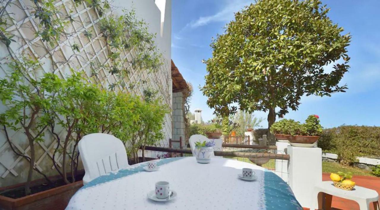 Villa Moma Giardino, Tennis E Piscina Panoramica Ischia Eksteriør billede