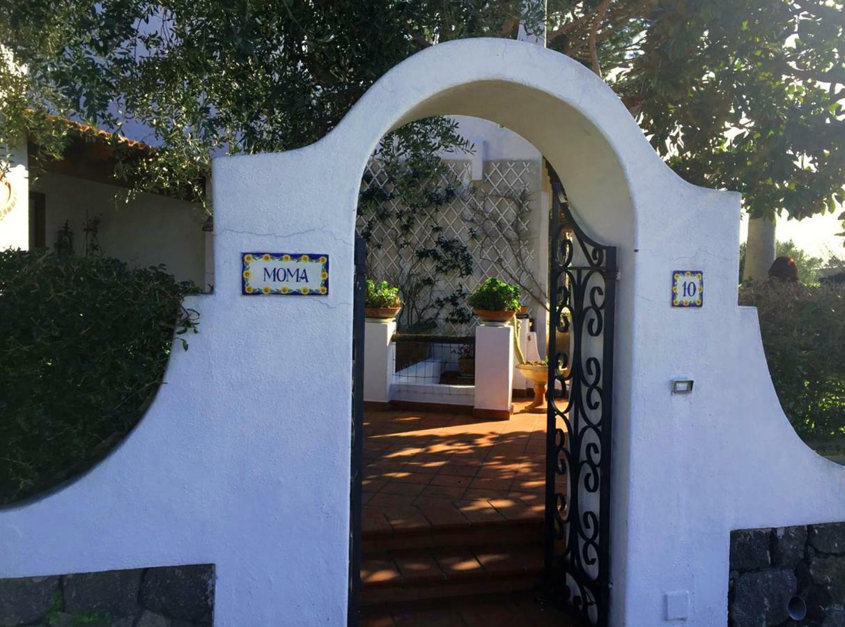 Villa Moma Giardino, Tennis E Piscina Panoramica Ischia Eksteriør billede